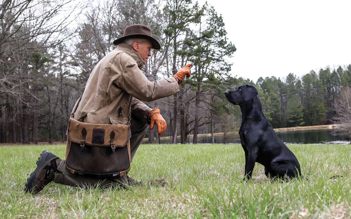 Waterfowl retriever training near hot sale me